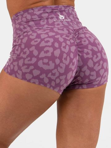 Ryderwear Women Shorts Animal Scrunch Bum Women's Shorts Leopard Purple | CA2116DN