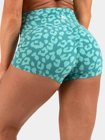 Ryderwear Women Shorts Animal Scrunch Bum Women's Shorts Leopard Teal | CA2117FM