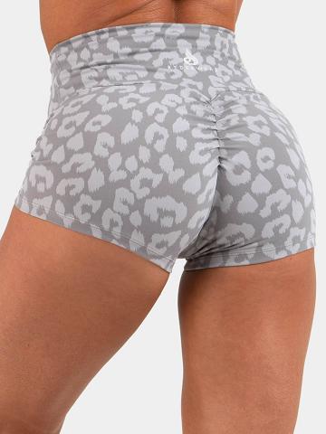 Ryderwear Women Shorts Animal Scrunch Bum Women's Shorts Leopard Grey | CA2138OR