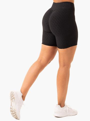 Ryderwear Women Shorts Optic Scrunch Bum Women's Shorts Black | CA2151CE